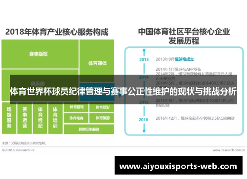 体育世界杯球员纪律管理与赛事公正性维护的现状与挑战分析