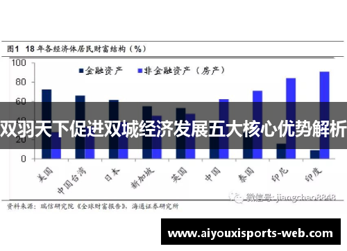双羽天下促进双城经济发展五大核心优势解析