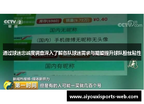 通过球迷忠诚度调查深入了解各队球迷需求与期望提升球队粉丝粘性